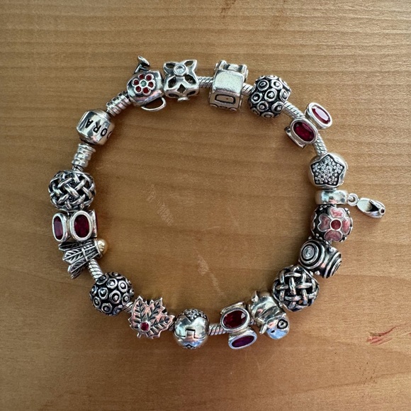 Pandora Curated Ruby Red Bracelet - Picture 10 of 11